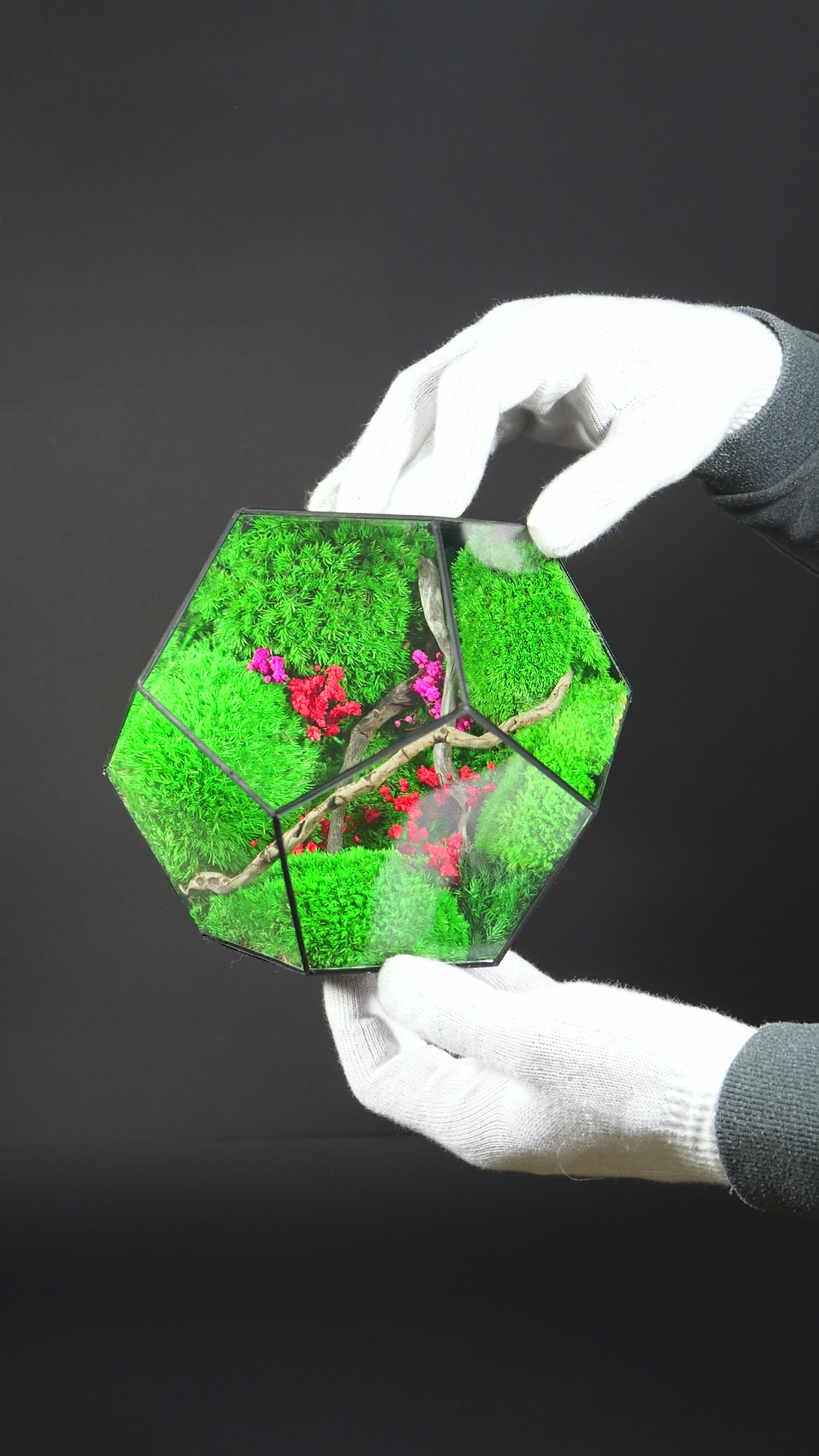 Terrarium Regalo Originale – Giardino in Miniatura in Vetro 31