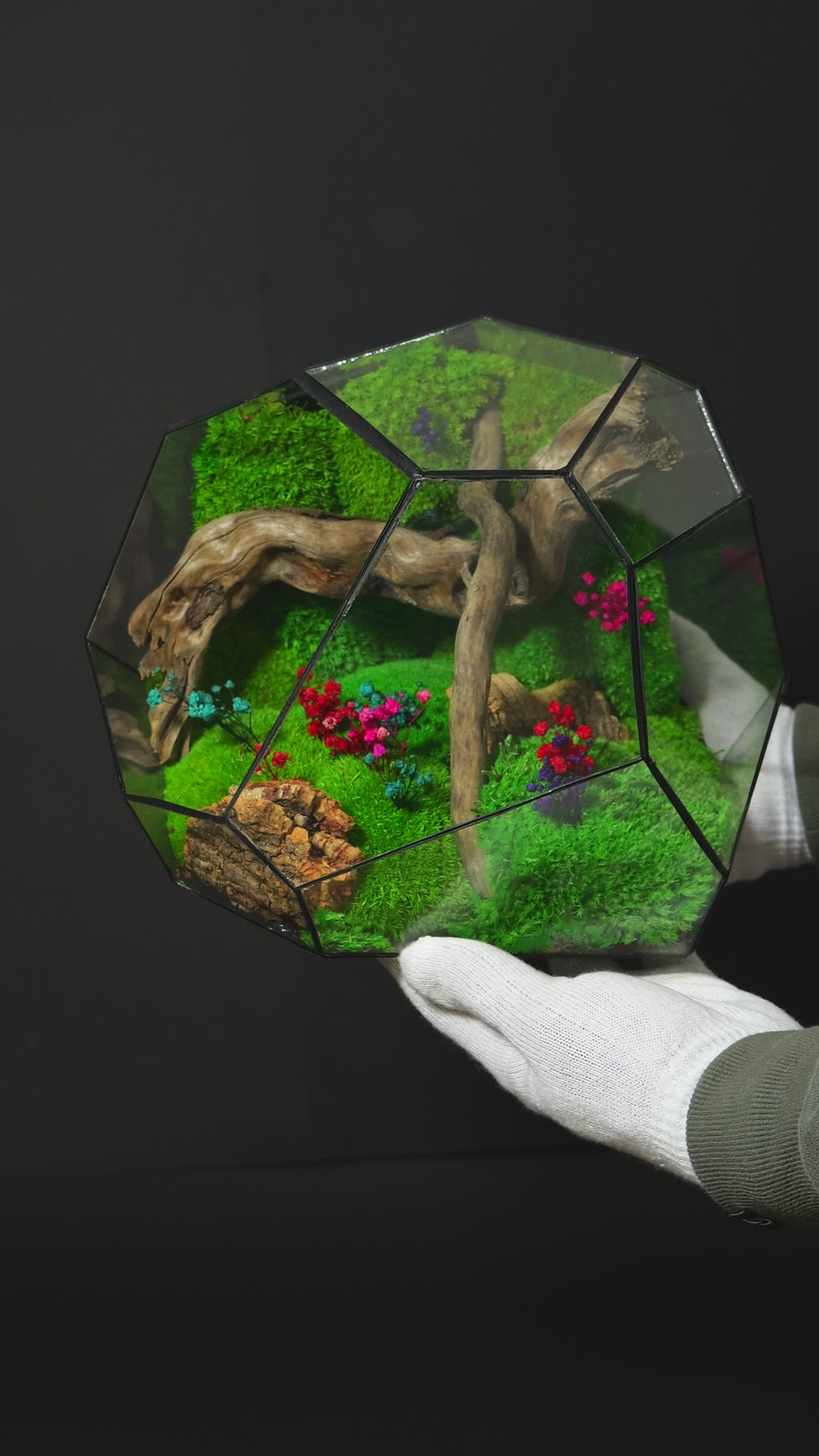 Terrarium ecosistemico autosostenibile decorativo per casa 24