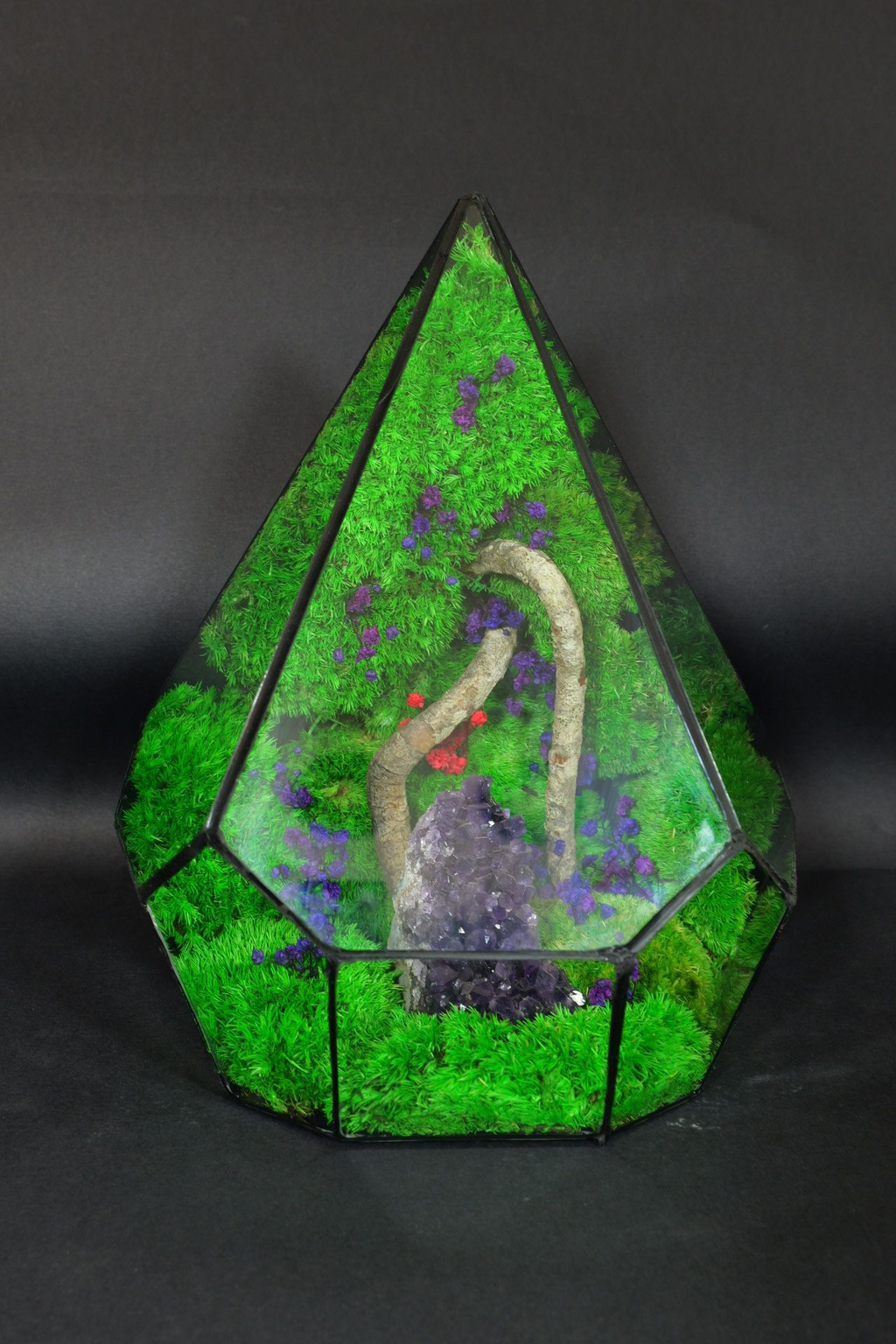Terrarium Ornamentale da Tavolo – Decorazione Naturale Elegante 43