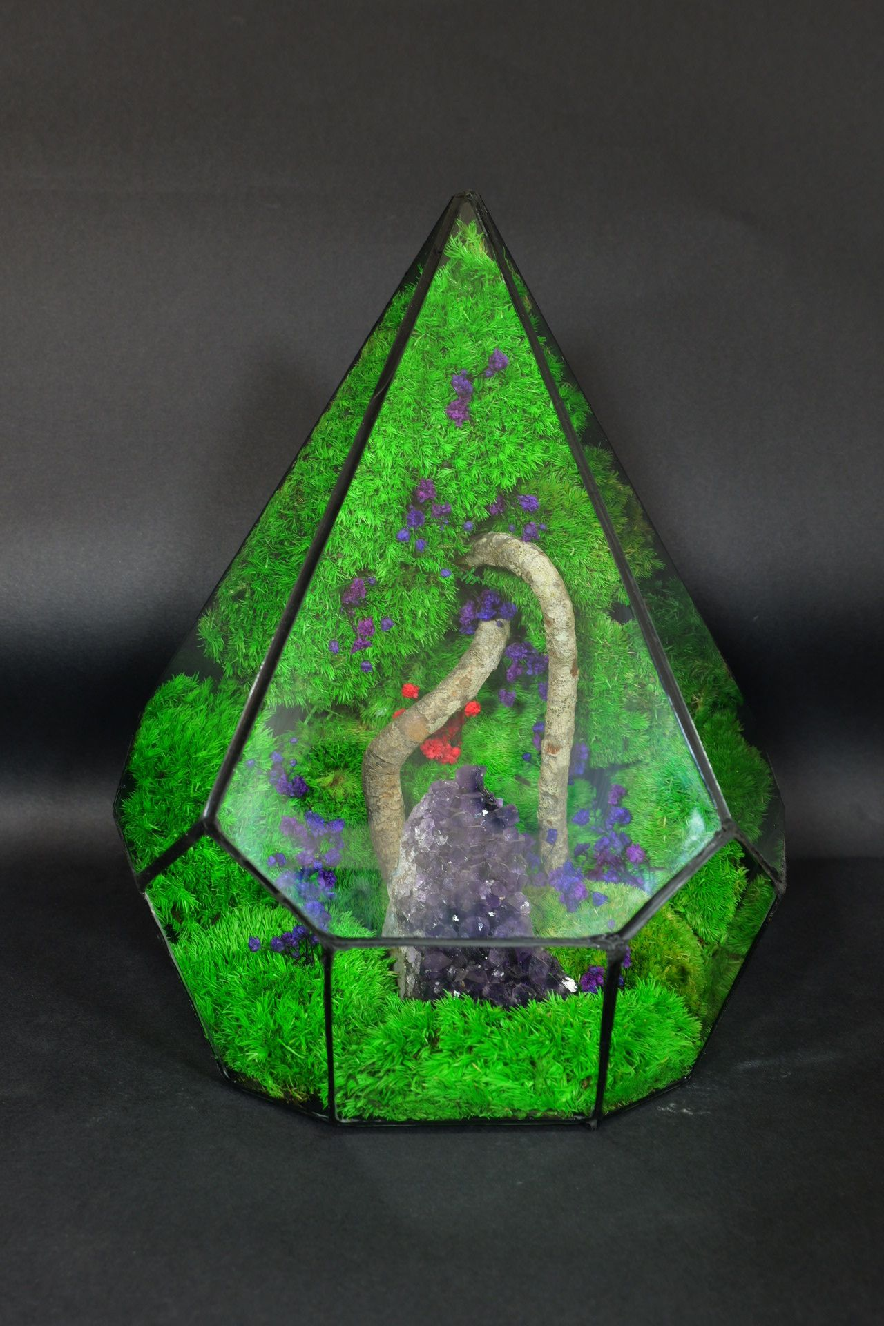 Terrarium Ornamentale da Tavolo – Decorazione Naturale Elegante 43