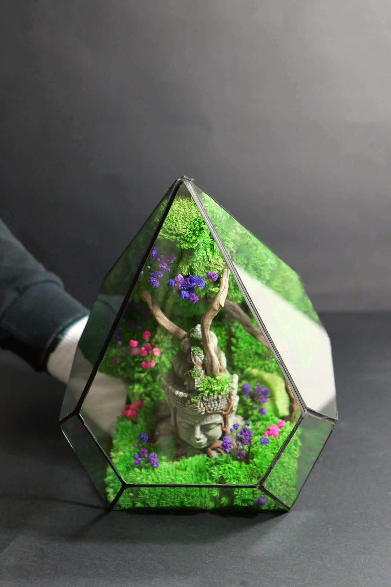Terrarium 9