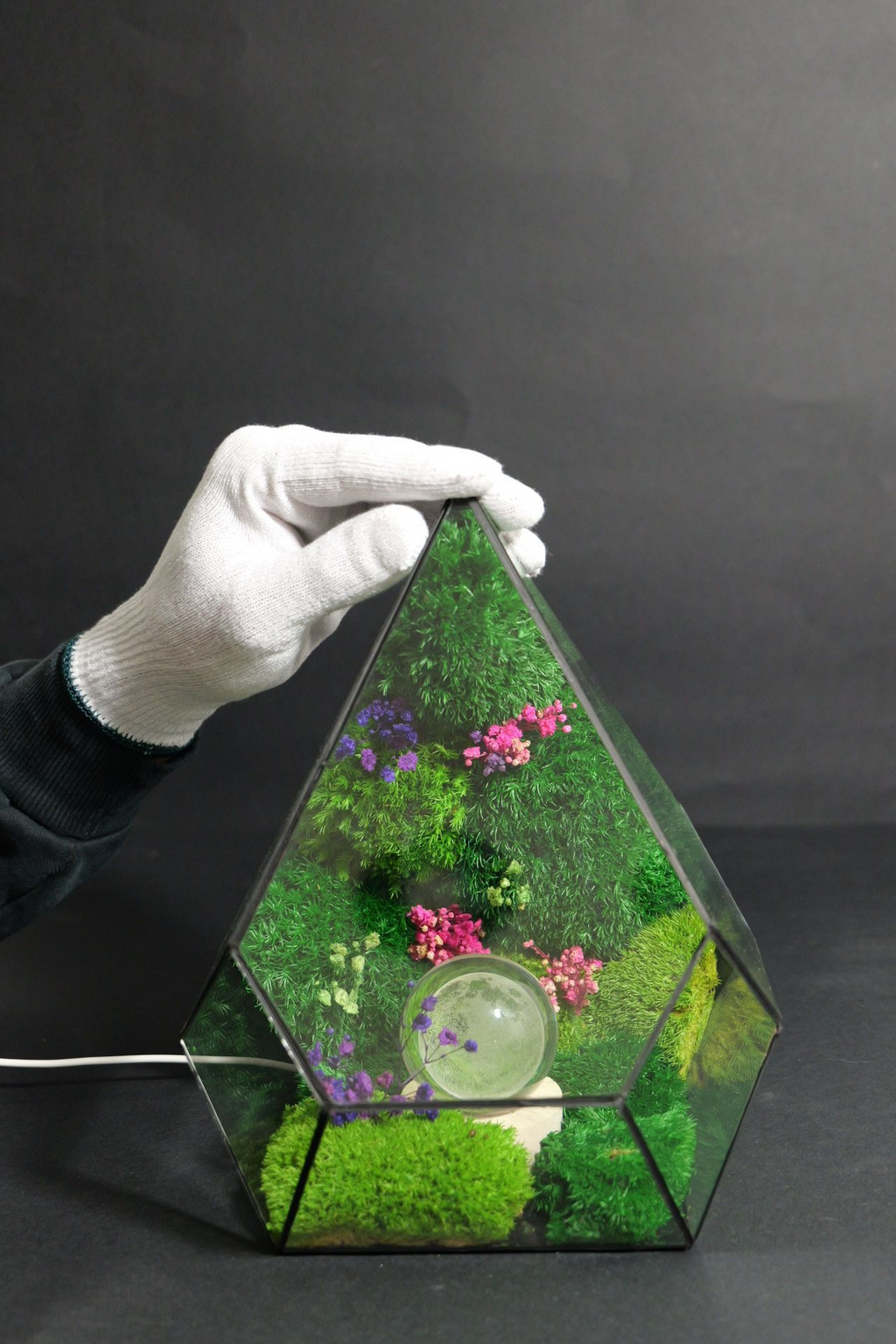 Terrarium ecosistemico naturale in equilibrio autonomo 3