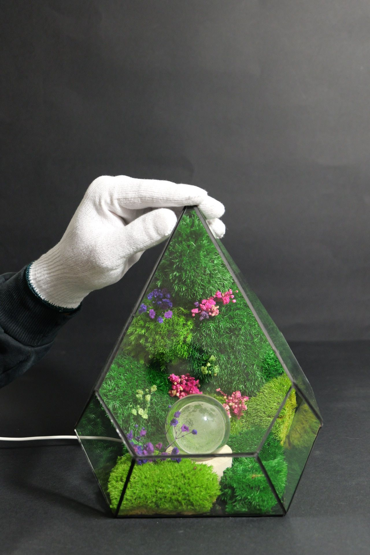 Terrarium ecosistemico naturale in equilibrio autonomo 3