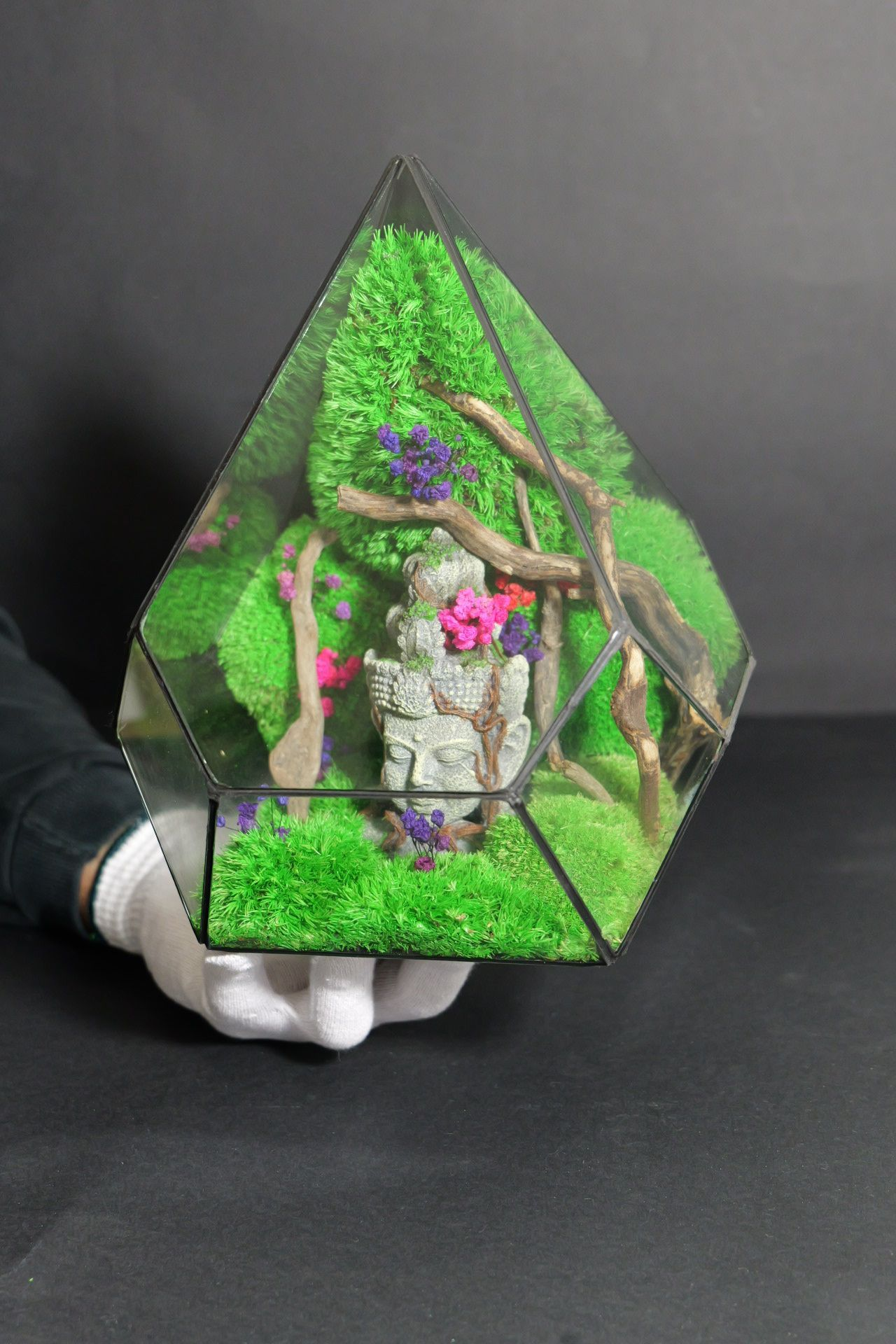 Terrarium 14