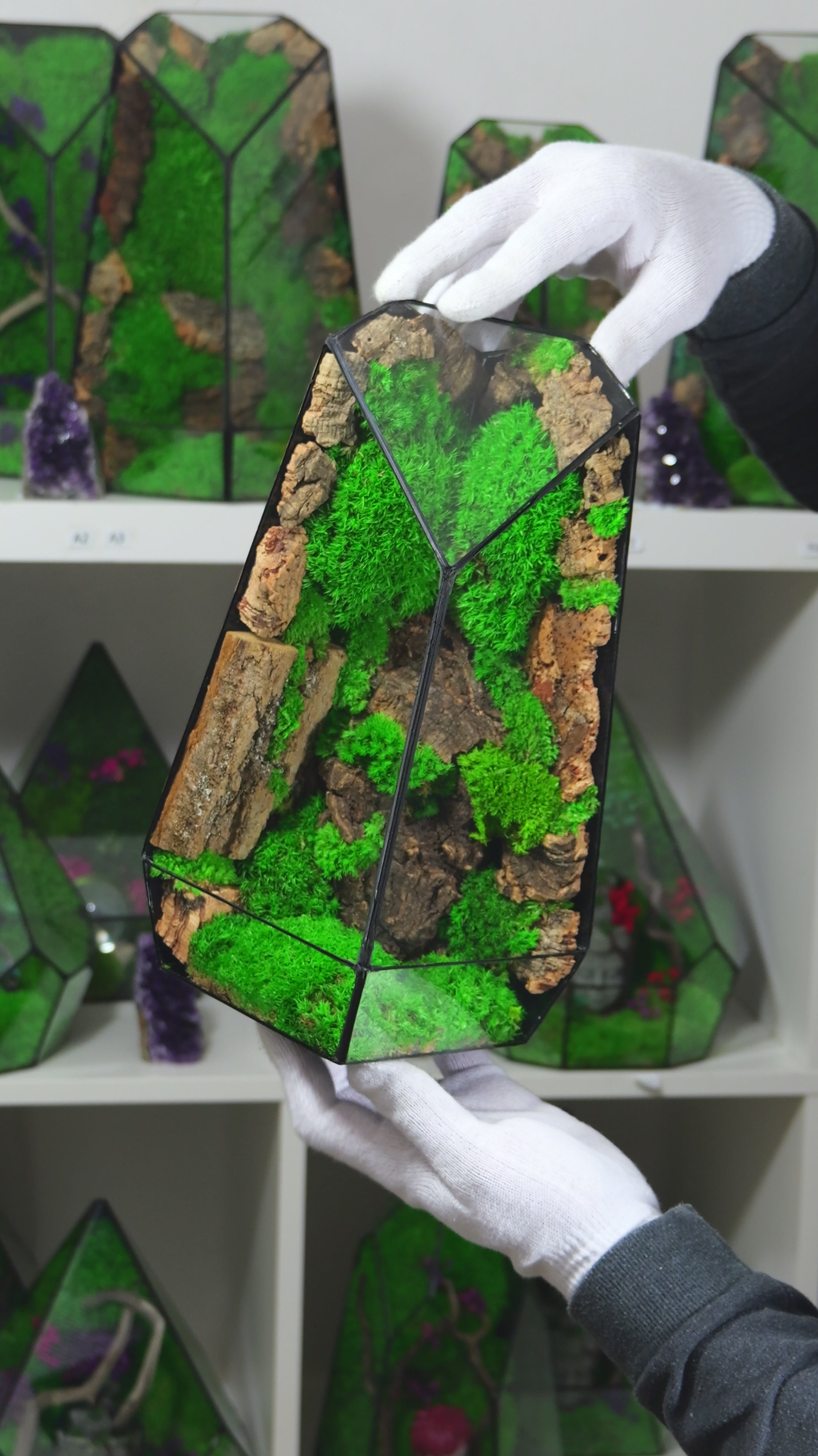 Terrarium Naturale con Muschio Vivo – Arredo Casa Moderno 28