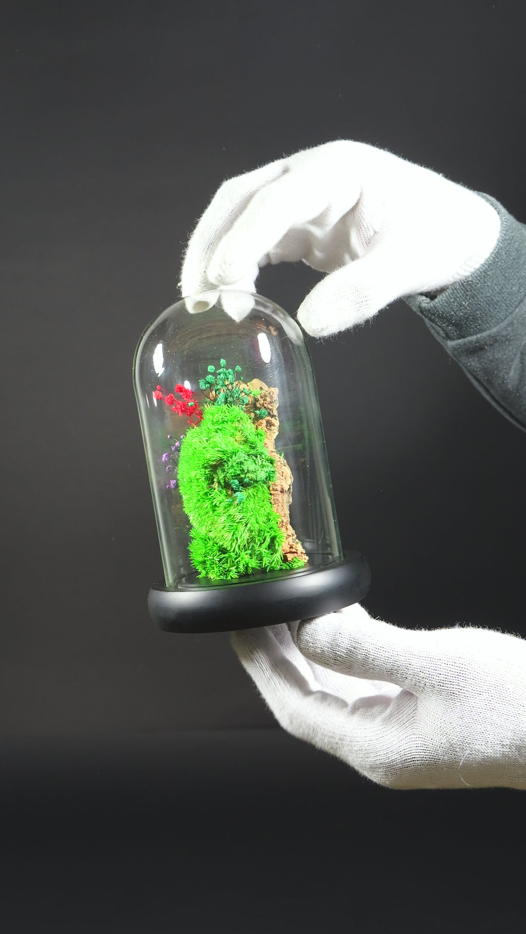 Terrario Chiusa Fatta a Mano – Decorazione Green di Design