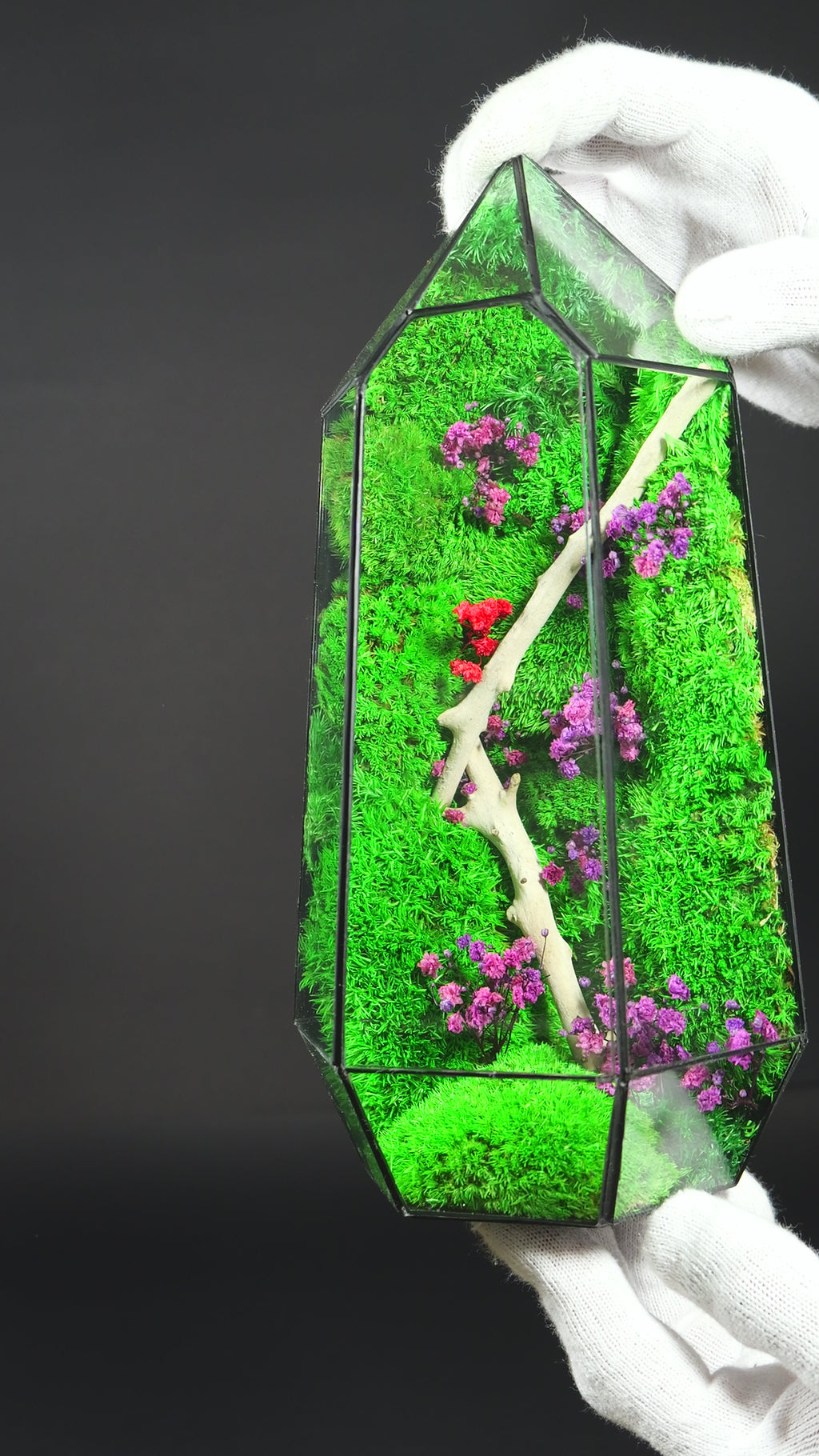 Terrarium Elegante per Arredamento Casa – Stile Green Moderno 34