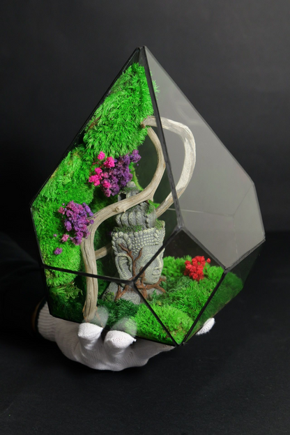 Terrarium 15