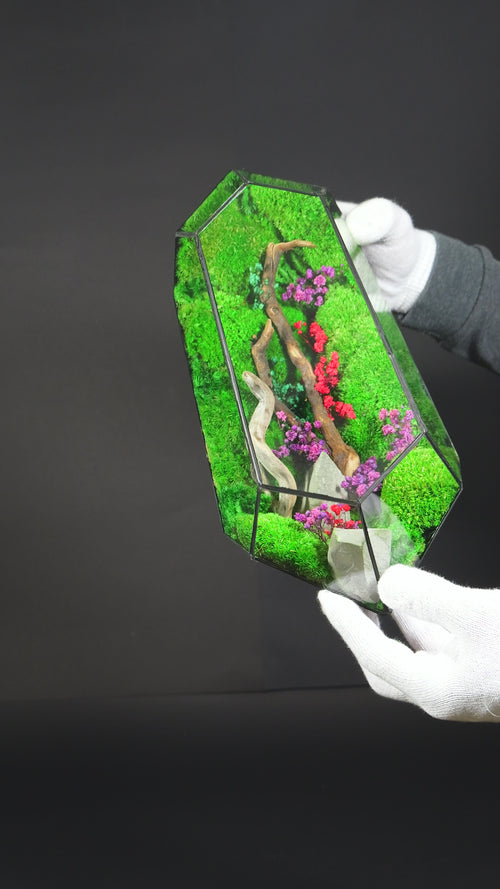 Terrario Botanico Decorativo – Oggetto di Design con Piante 3