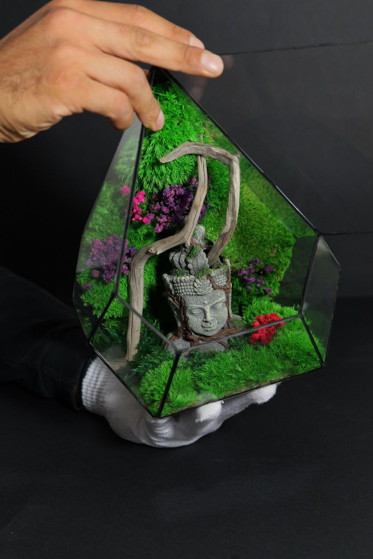 Terrario Autosufficiente – Regalo Green Originale