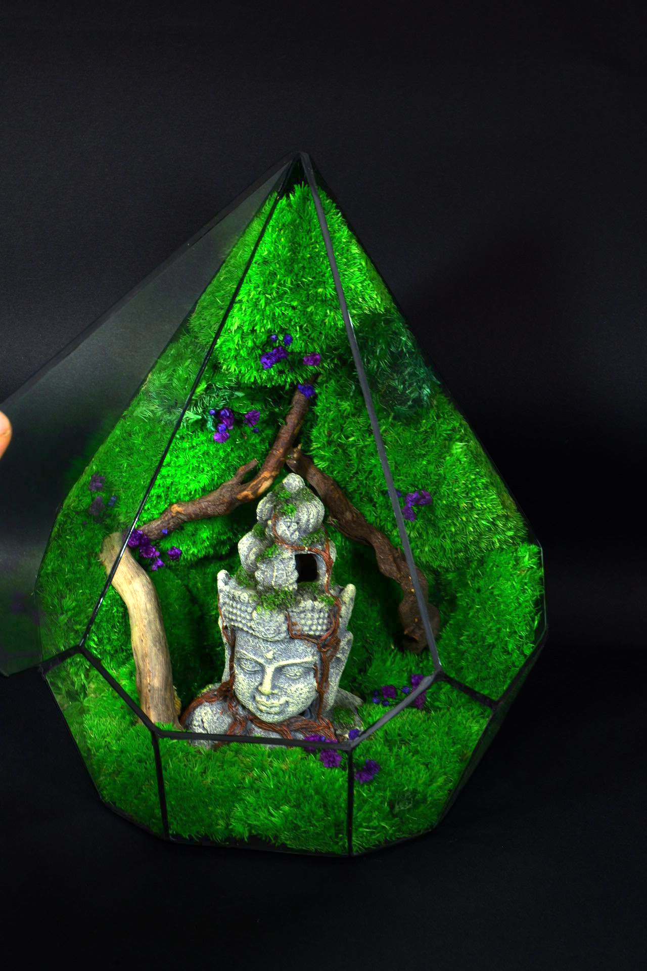 Terrario Decorativo per Casa e Ufficio – Design Naturale Minimal 47