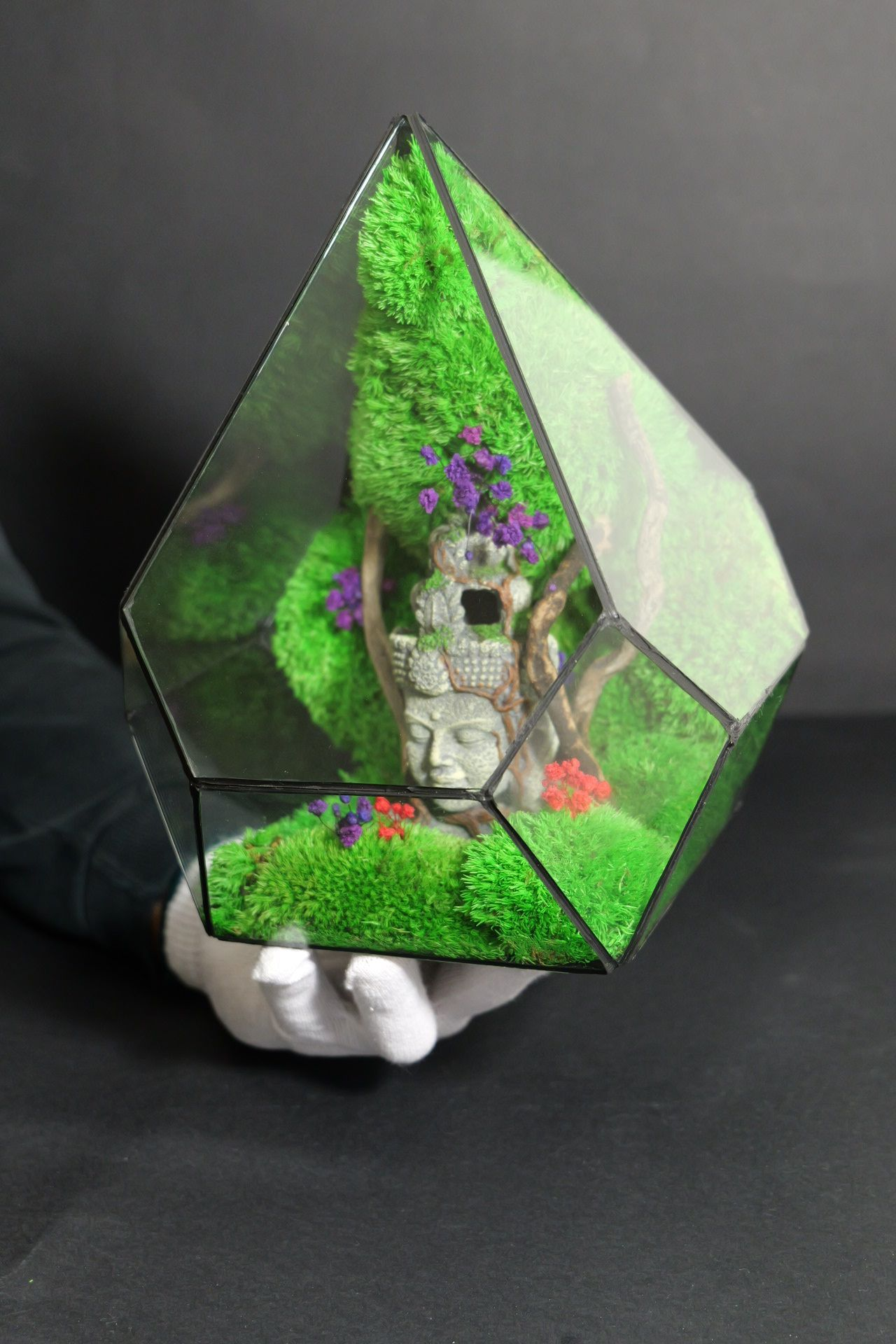Terrarium 13