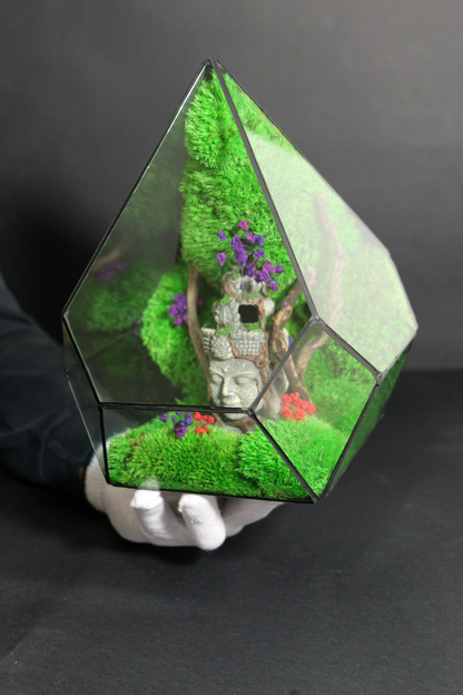 Terrarium 13