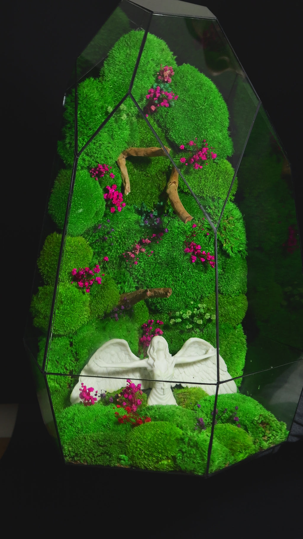 Terrarium Decorativo – Regalo Ecologico per Casa 38