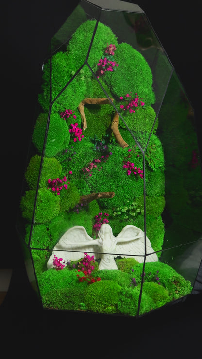 Terrarium 38 GIGANTE