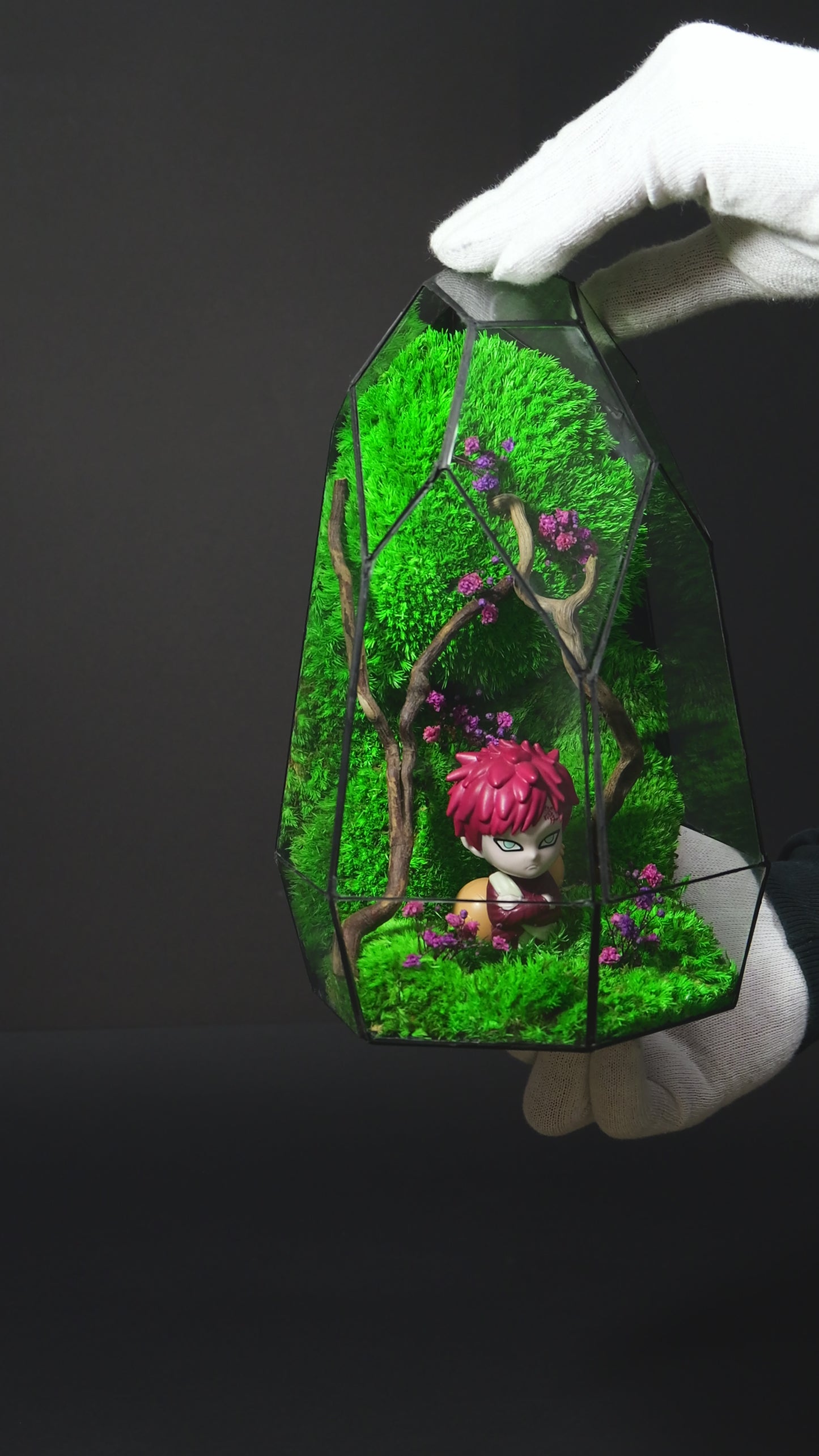 Terrarium 19 "Gaara"