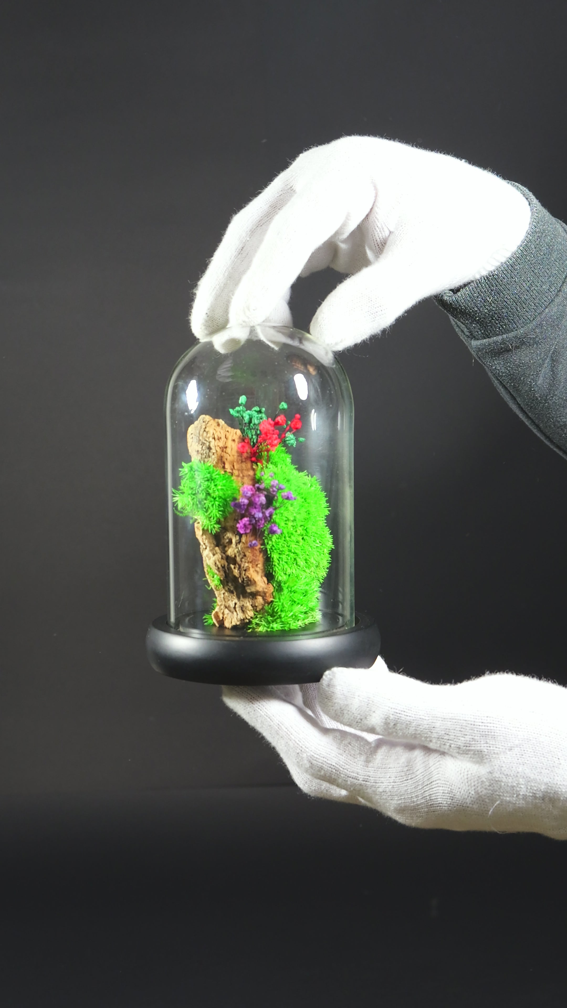 Terrario Chiusa Fatta a Mano – Decorazione Green di Design