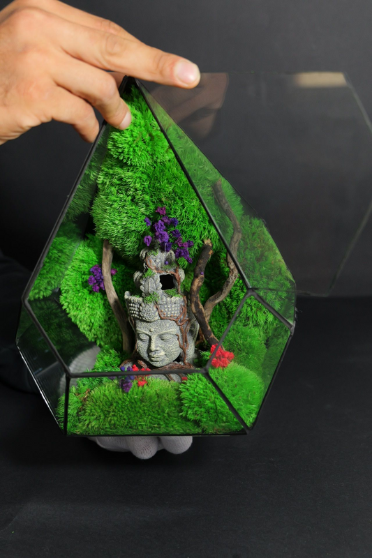 Terrarium 13
