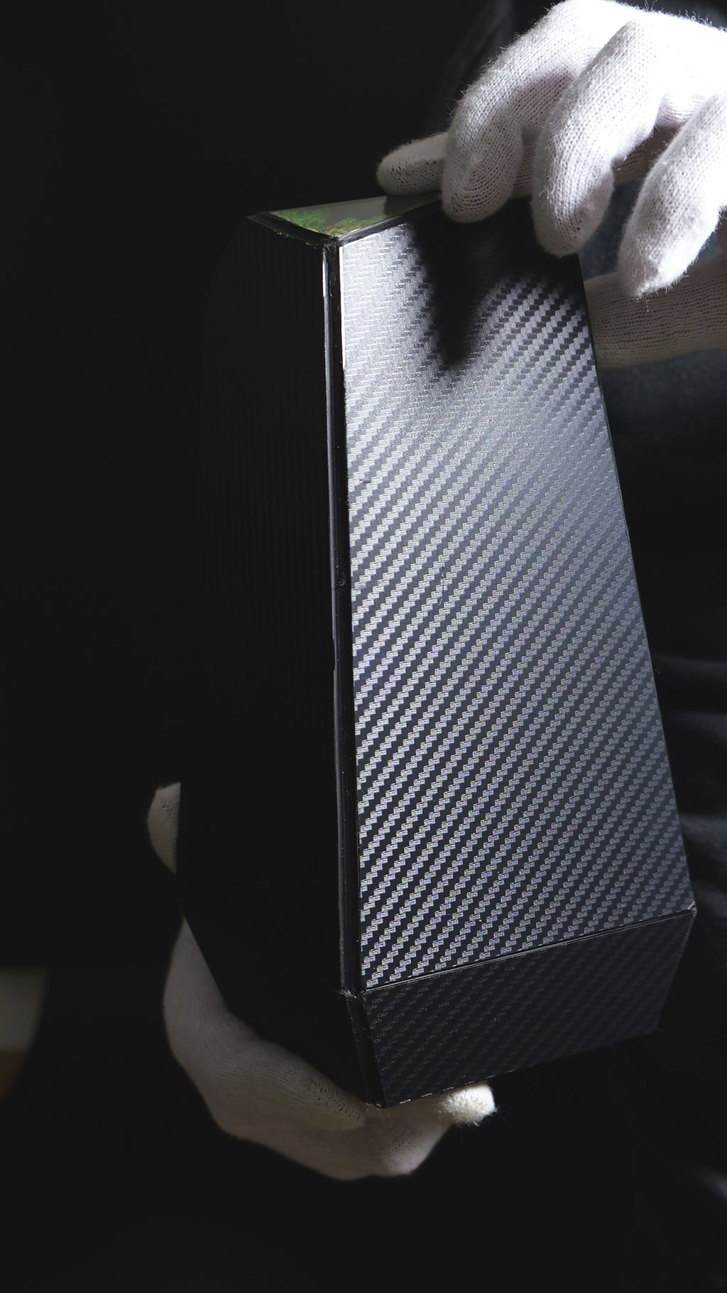 Terrarium con Piante Selezionate – Decorazione Naturale Premium 36