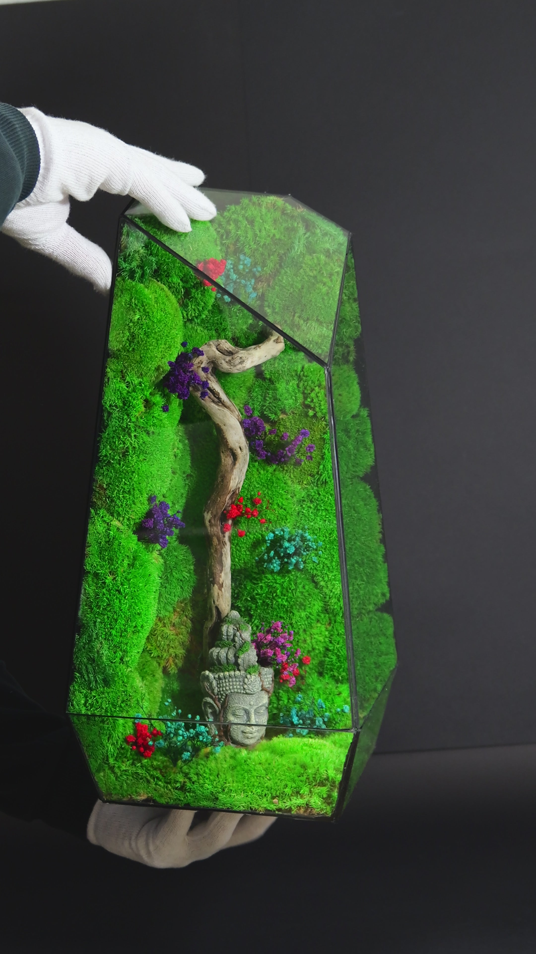 Terrarium con Muschio Stabilizzato – Oggetto Decorativo Green 20