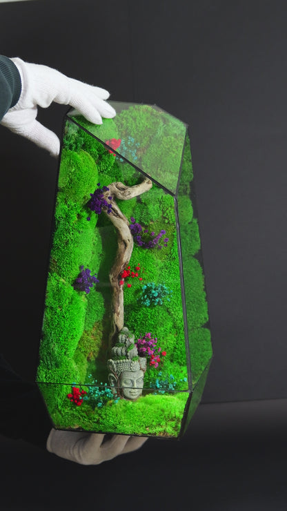 Terrarium 20 GIGANTE