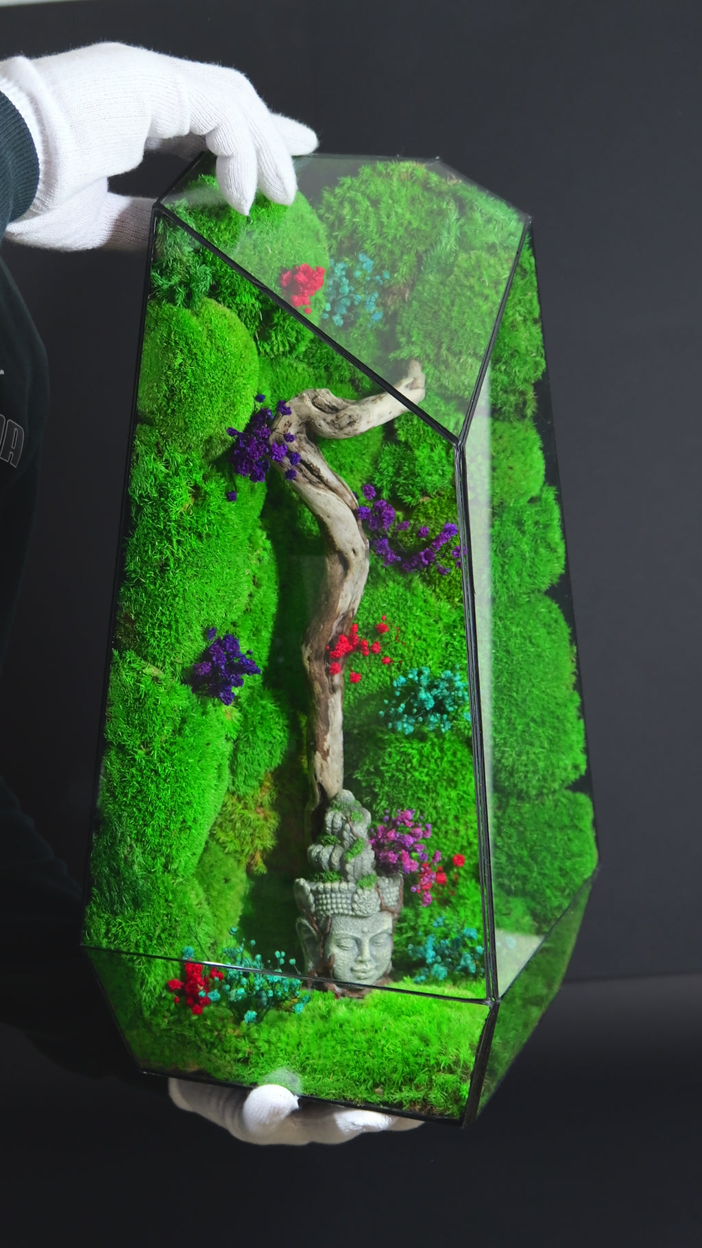Terrarium con Muschio Stabilizzato – Oggetto Decorativo Green 20