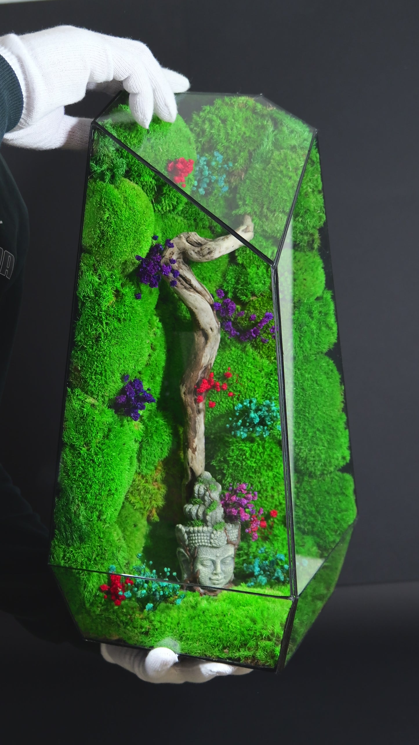 Terrarium 20 GIGANTE