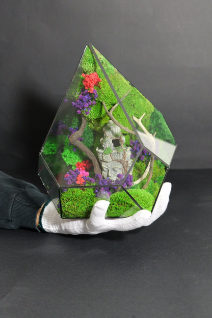Terrarium 12