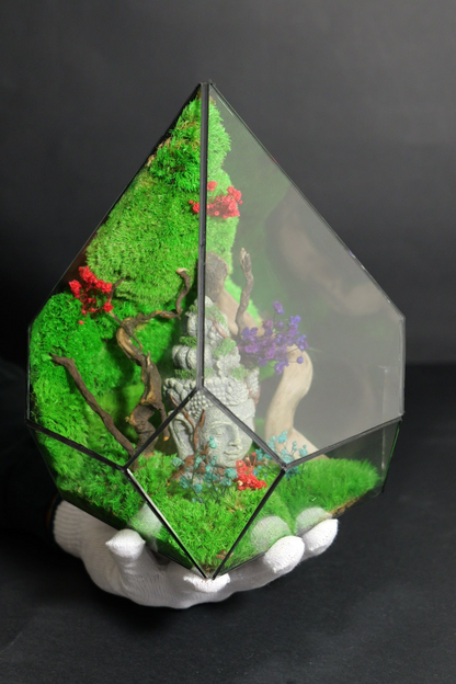 Terrarium 11