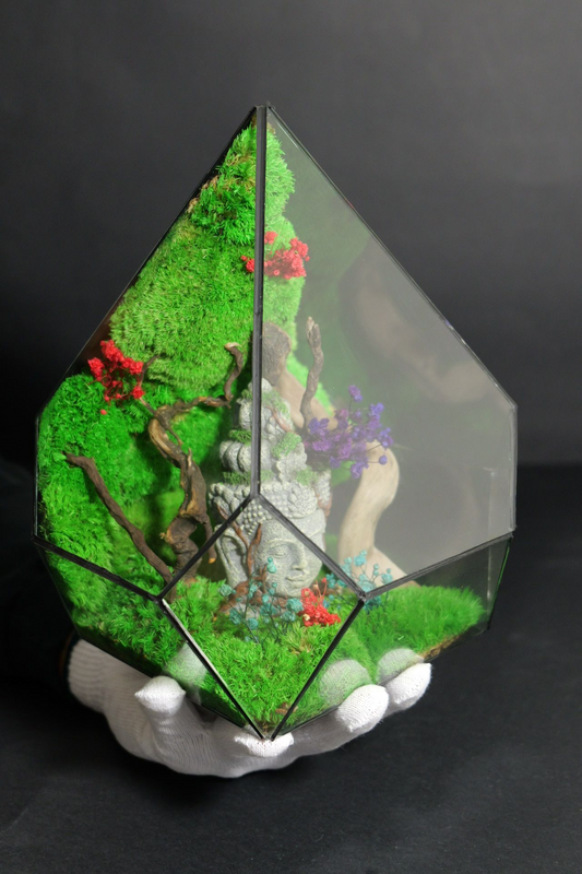 Terrarium 11