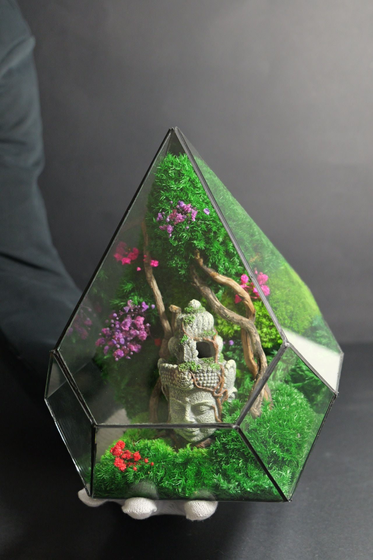 Terrarium 8