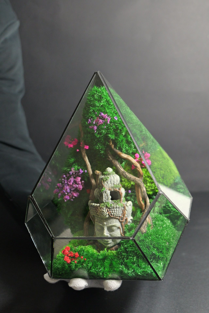 Terrarium 8