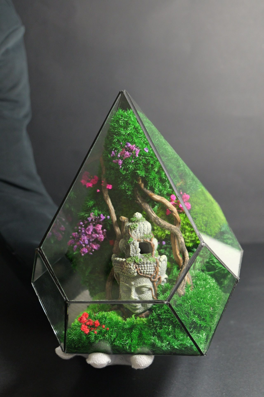 Terrarium 8