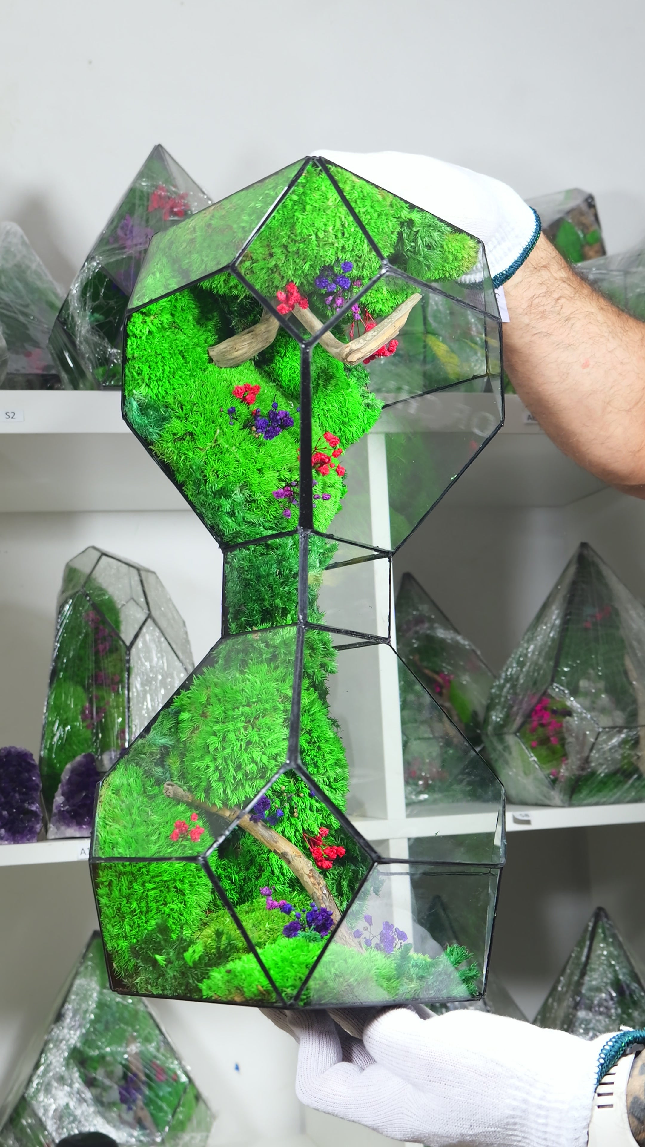 Terrarium in Vetro con Piante Naturali – Ecosistema Decorativo da Interno 50