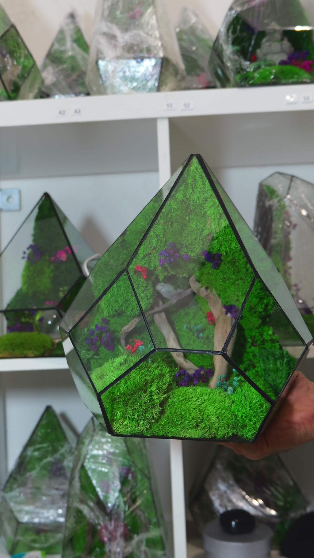 Terrarium Artigianale con Muschio Stabilizzato – Arredo Green Moderno 48