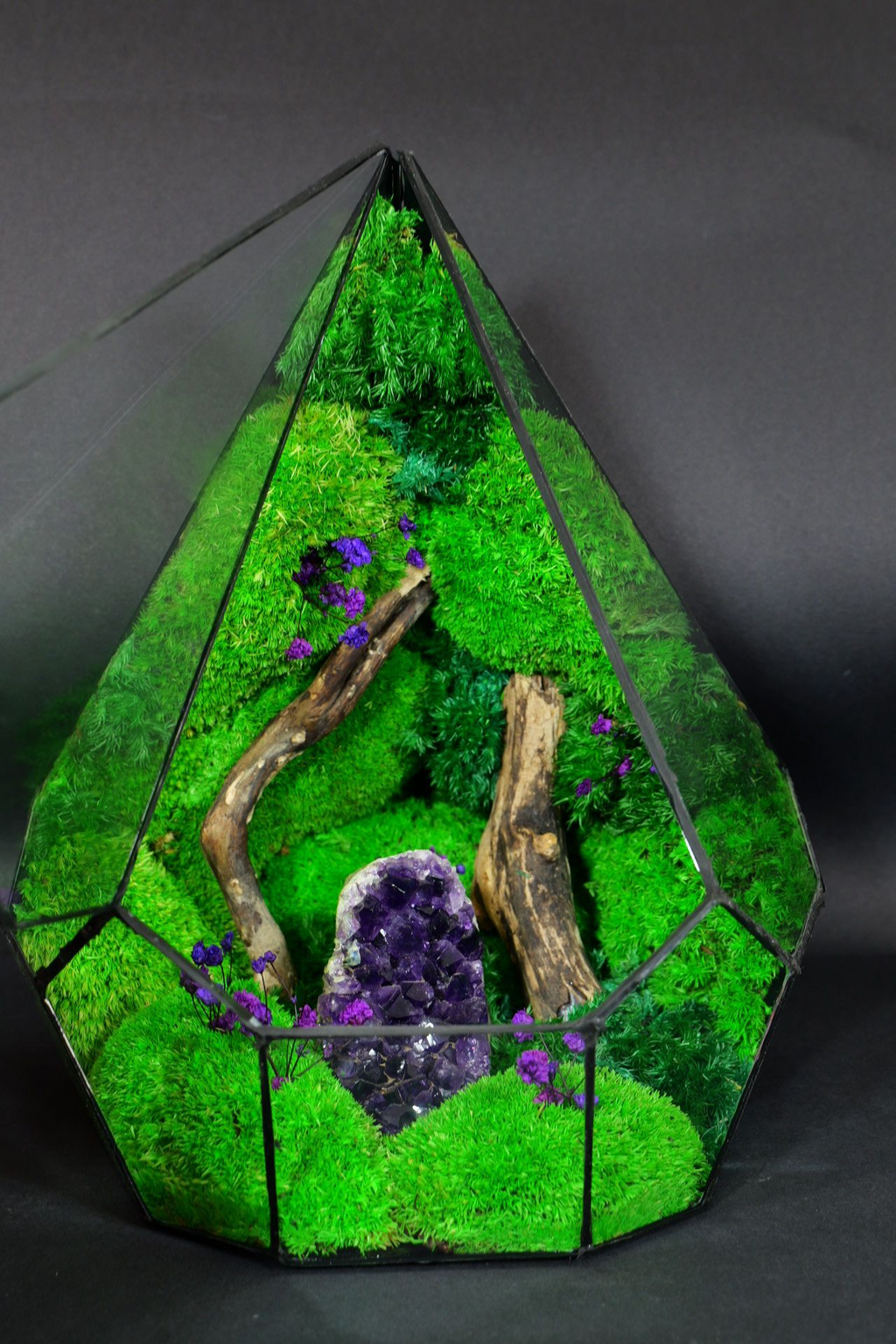 Terrario di Vetro – Idea Regalo Green Originale 45