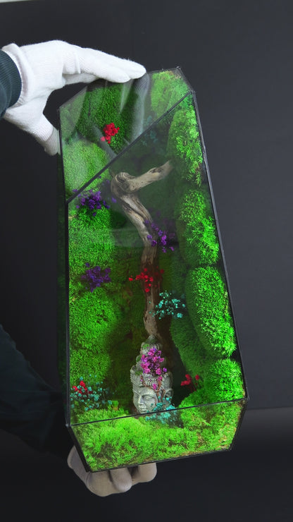 Terrarium 20 GIGANTE