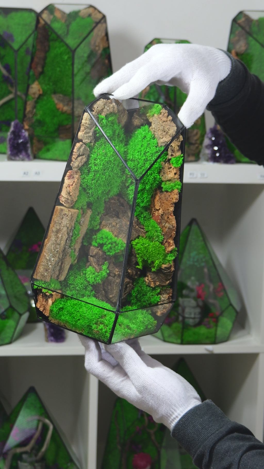 Terrarium Naturale con Muschio Vivo – Arredo Casa Moderno 28