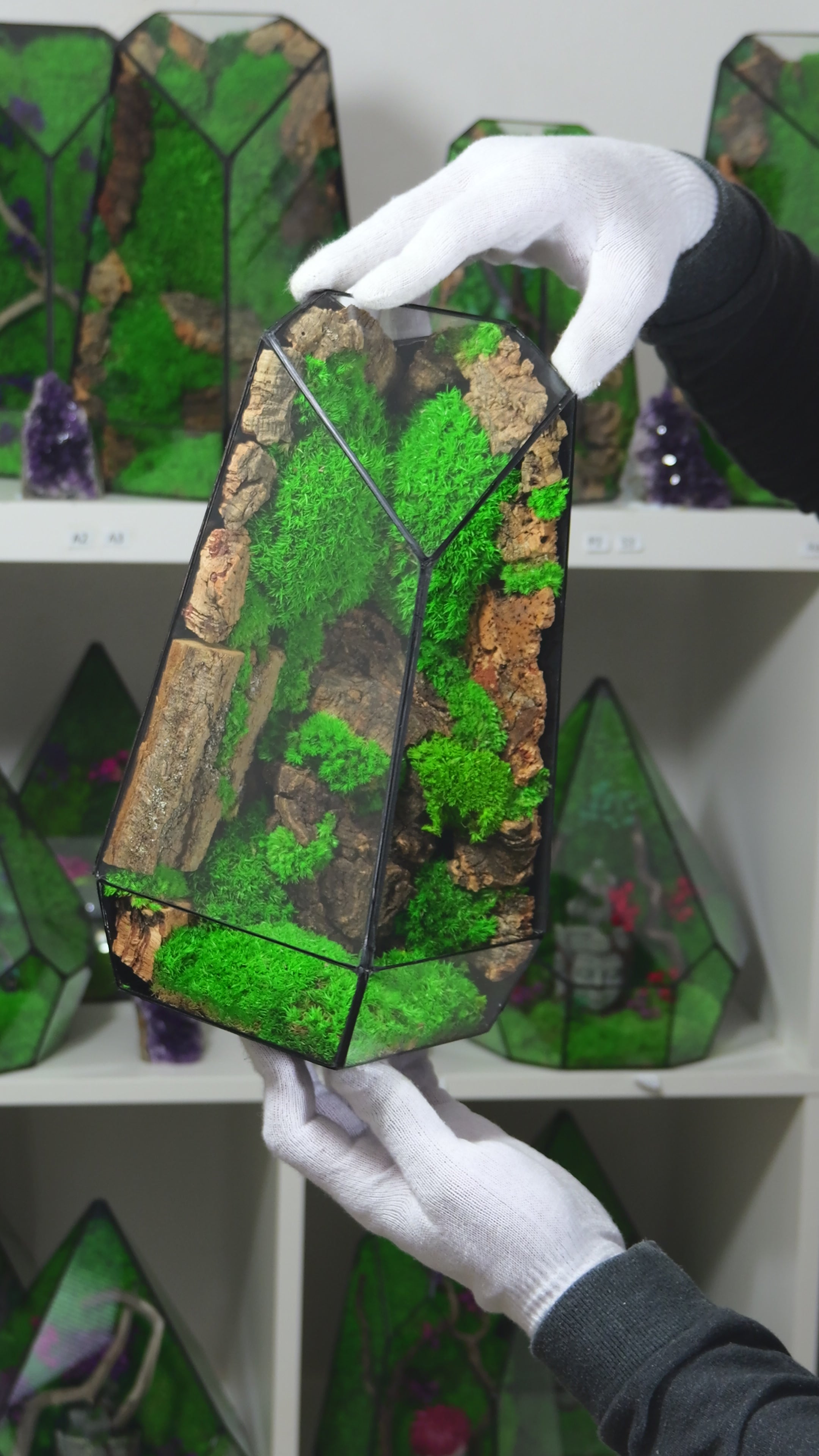 Terrarium Naturale con Muschio Vivo – Arredo Casa Moderno 28