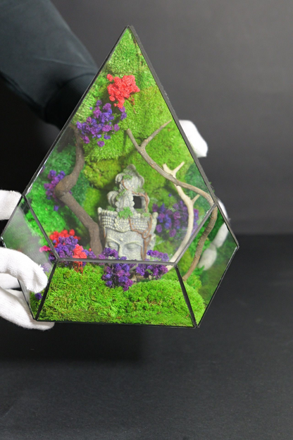 Terrarium 12