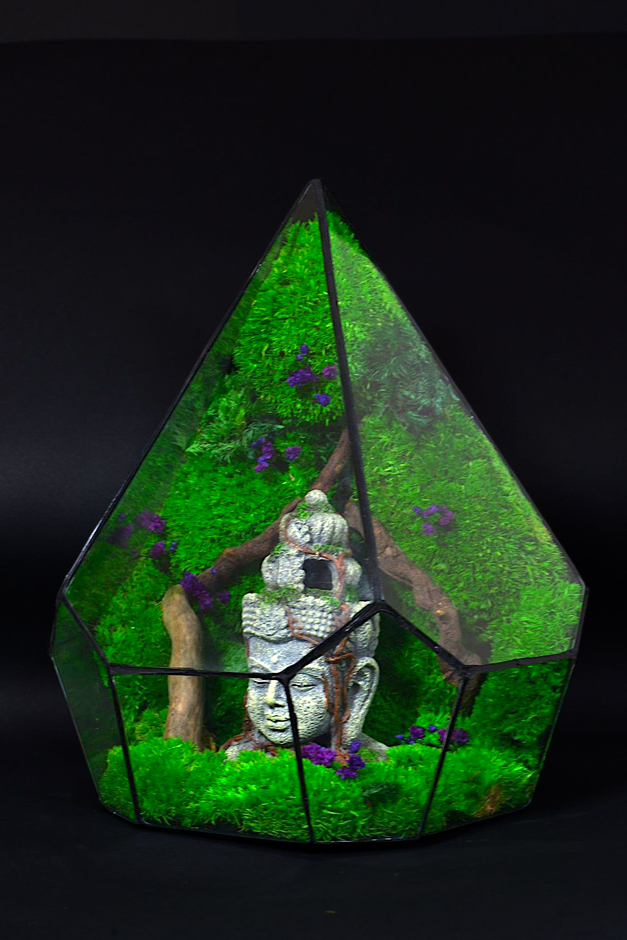 Terrario Decorativo per Casa e Ufficio – Design Naturale Minimal 47