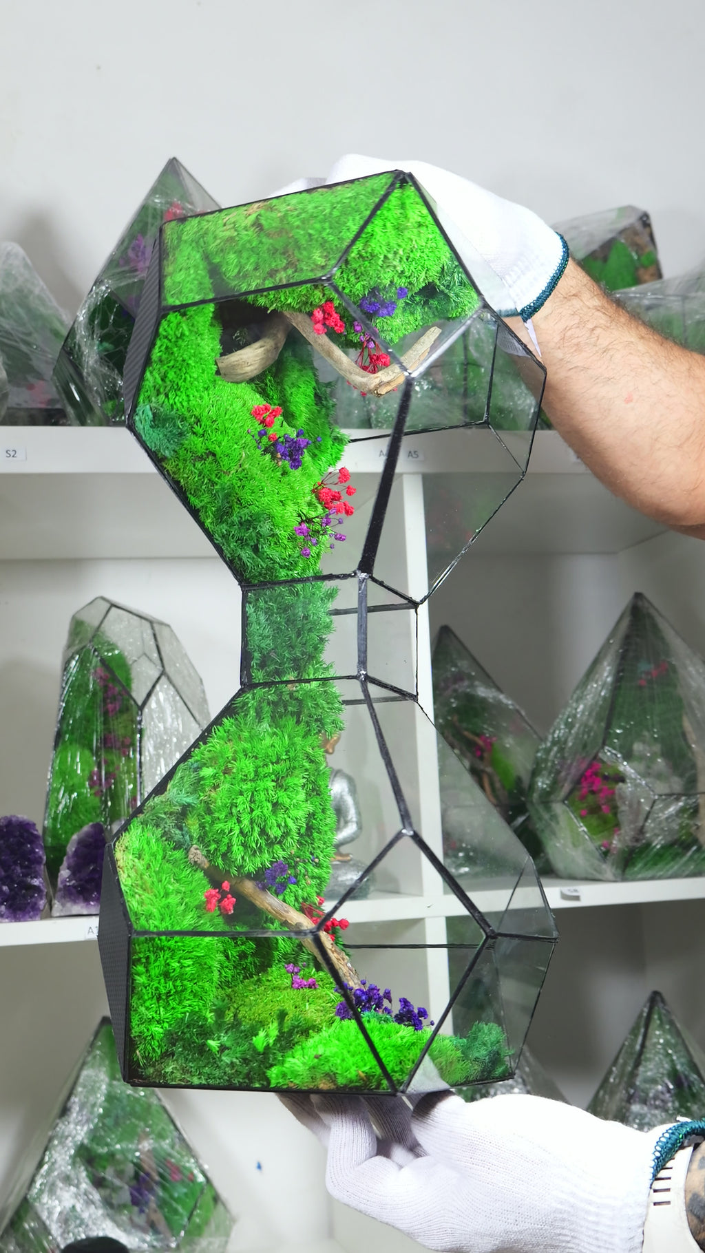 Terrarium in Vetro con Piante Naturali – Ecosistema Decorativo da Interno 50