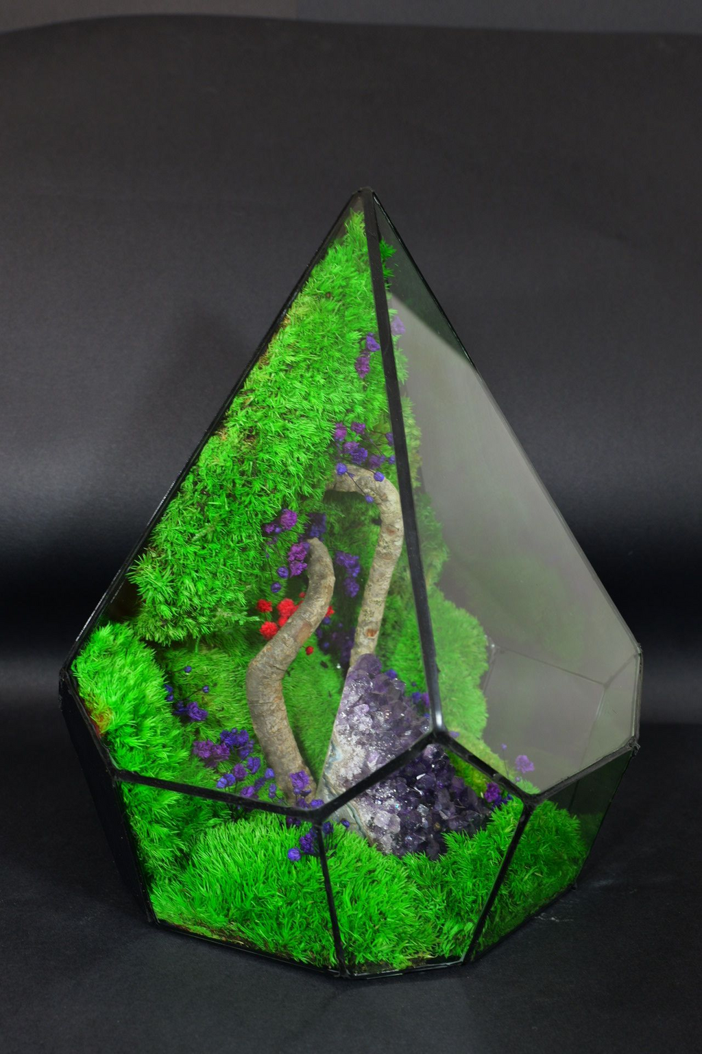 Terrarium Ornamentale da Tavolo – Decorazione Naturale Elegante 43