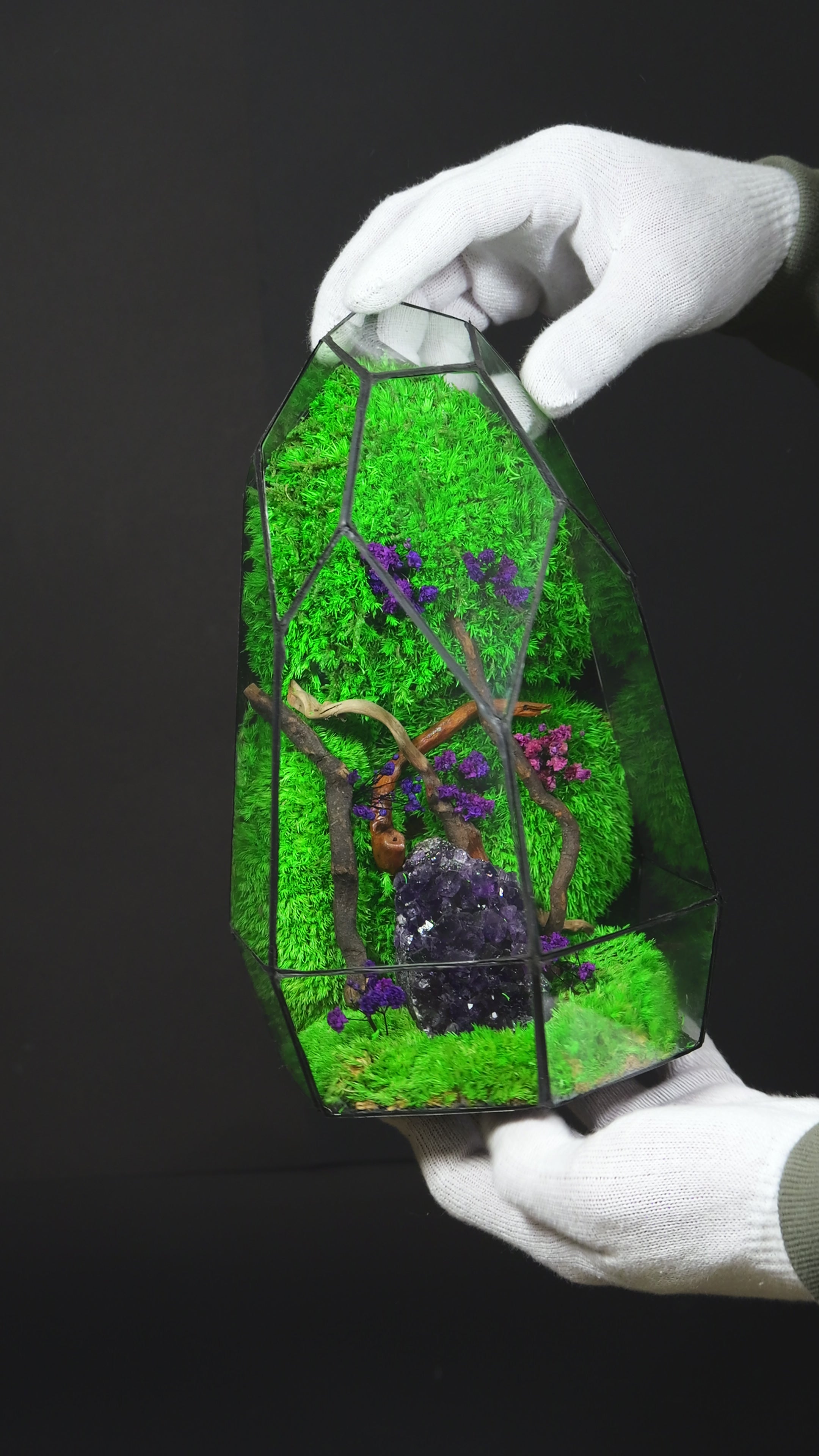 Terrarium Handmade in Vetro – Decorazione Botanica Moderna22