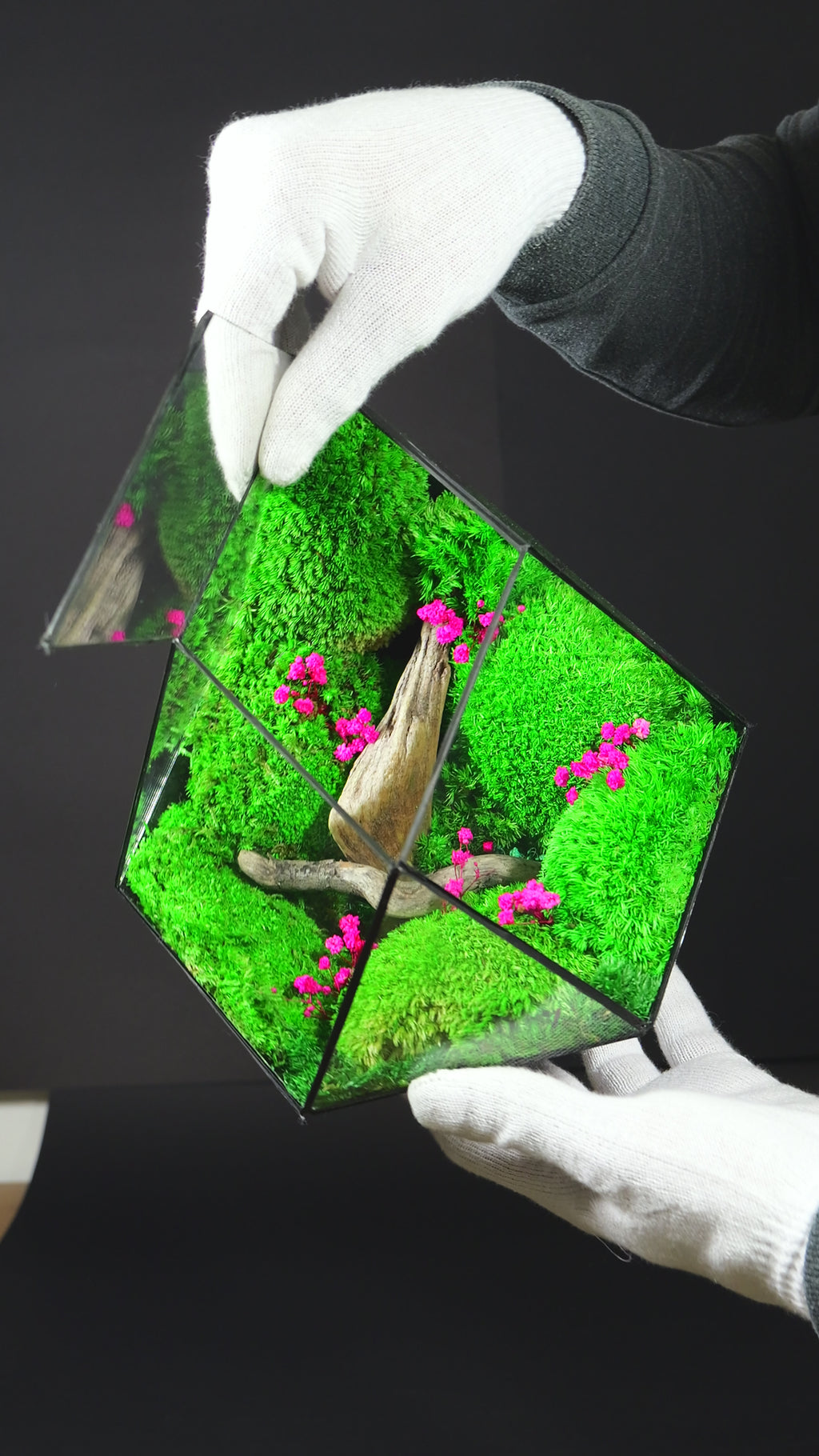 Terrarium di Design per Interni – Arredo Botanico Moderno 40