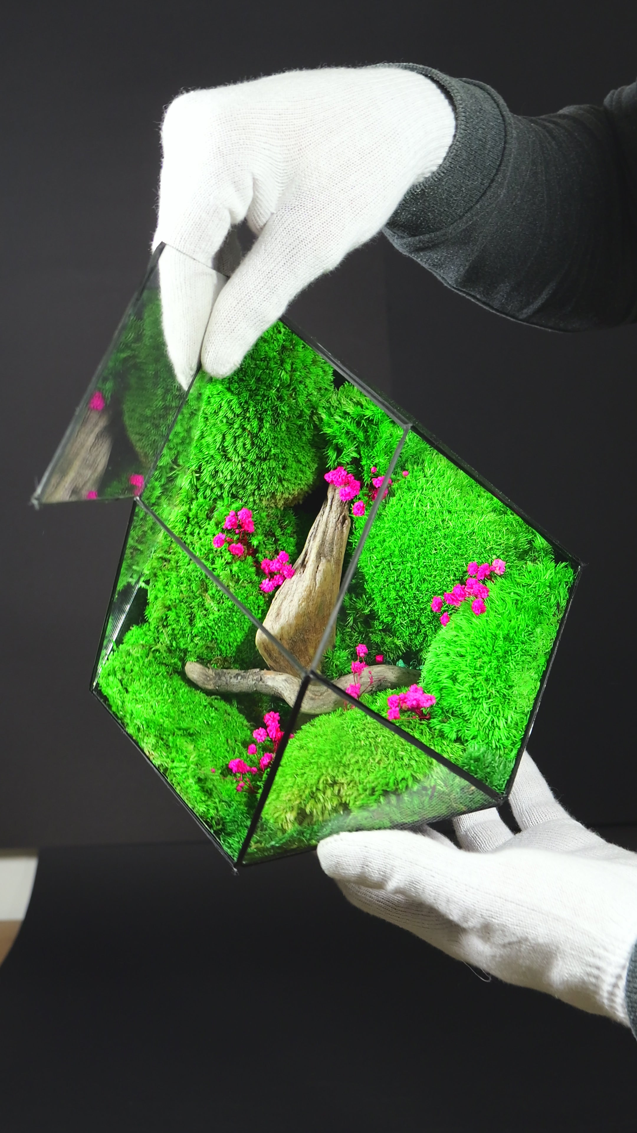 Terrarium di Design per Interni – Arredo Botanico Moderno 40