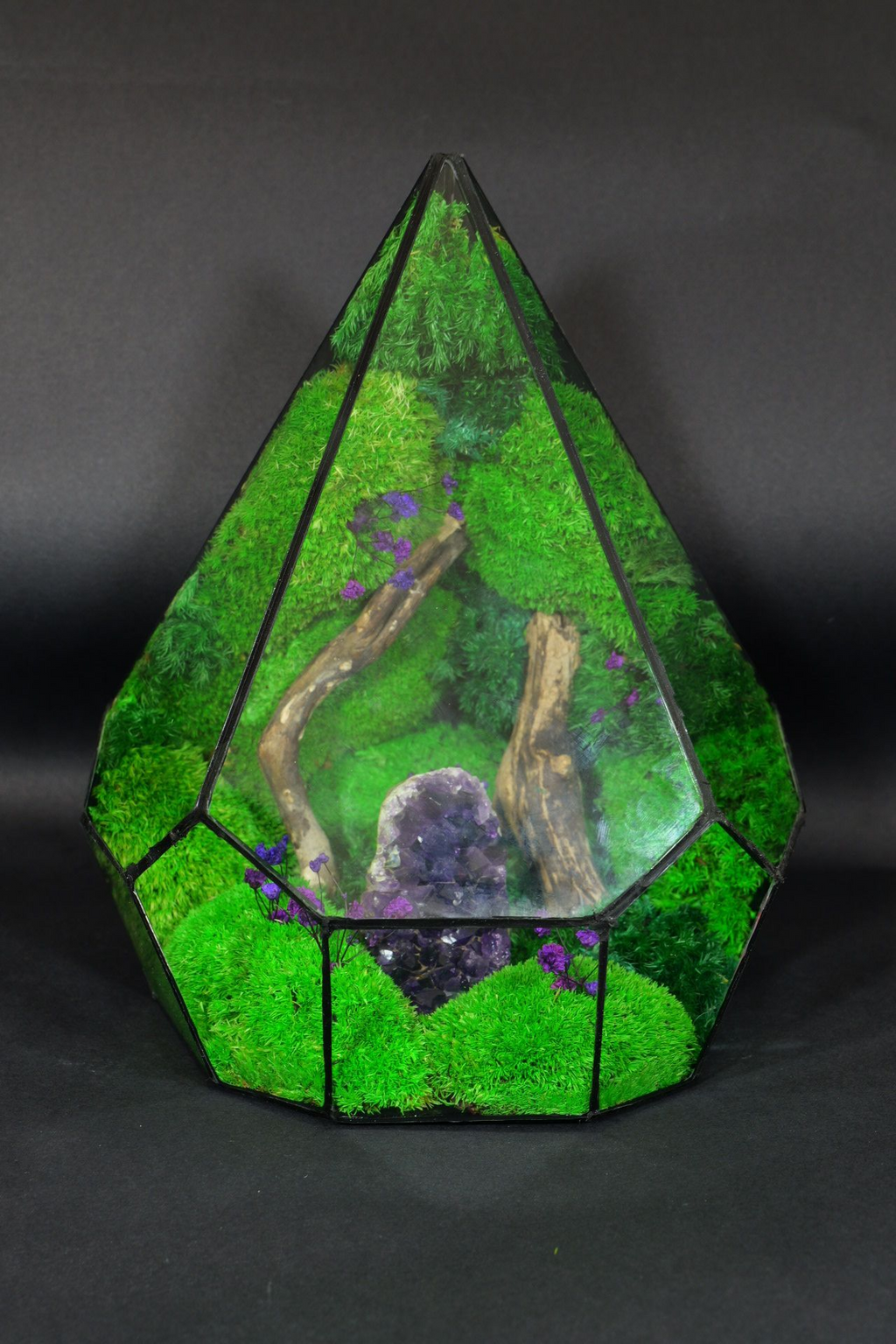 Terrario di Vetro – Idea Regalo Green Originale 45