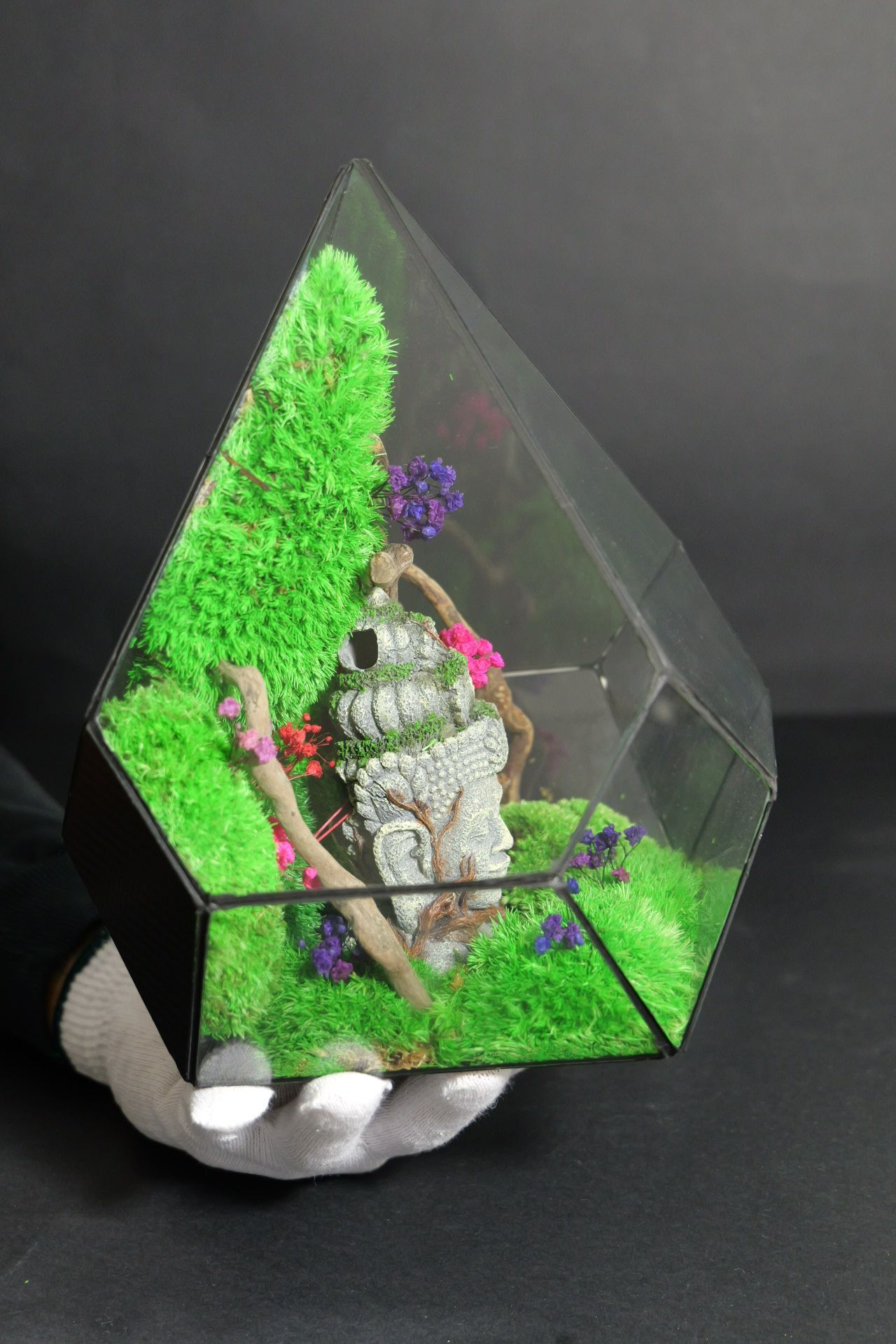 Terrarium 14
