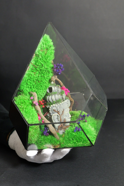 Terrarium 14