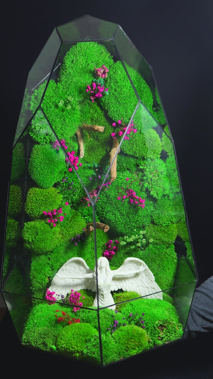 Terrarium 38 GIGANTE